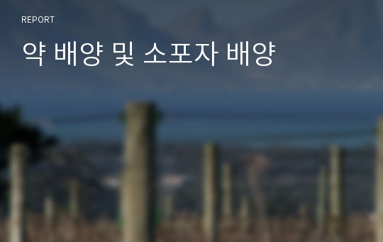 약 배양 및 소포자 배양