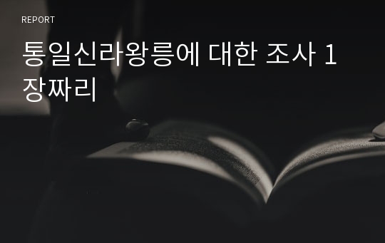 통일신라왕릉에 대한 조사 1장짜리