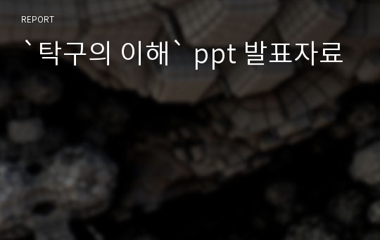 `탁구의 이해` ppt 발표자료