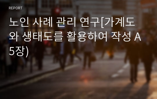 노인 사례 관리 연구[가계도와 생태도를 활용하여 작성 A5장)