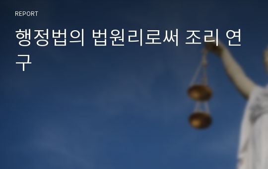 행정법의 법원리로써 조리 연구