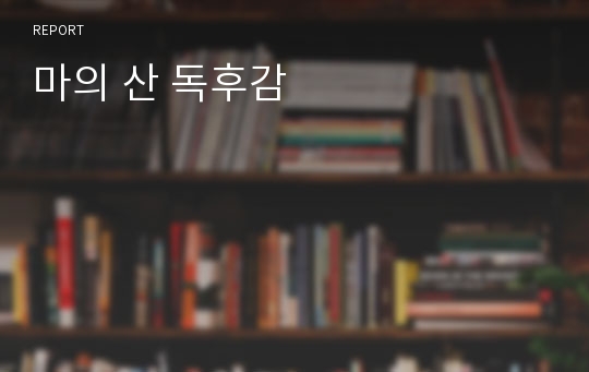 마의 산 독후감