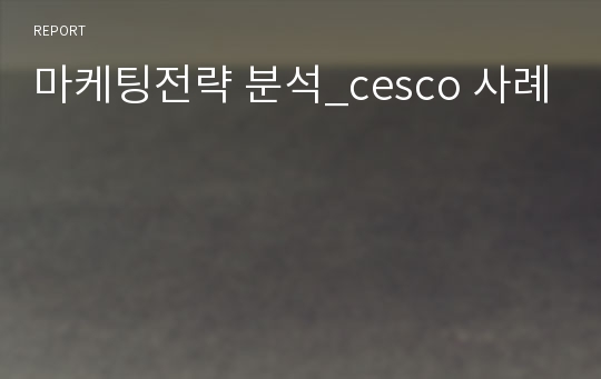 마케팅전략 분석_cesco 사례