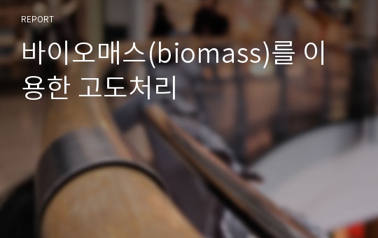 바이오매스(biomass)를 이용한 고도처리
