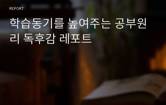 학습동기를 높여주는 공부원리 독후감 레포트