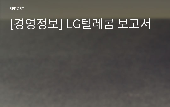 [경영정보] LG텔레콤 보고서