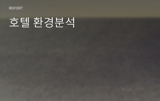 호텔 환경분석