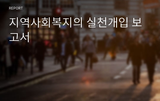 지역사회복지의 실천개입 보고서