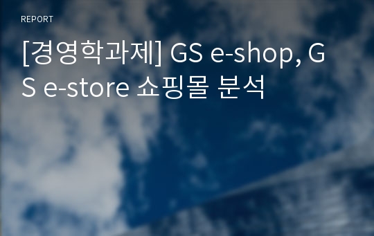 [경영학과제] GS e-shop, GS e-store 쇼핑몰 분석