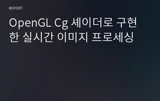 OpenGL Cg 셰이더로 구현한 실시간 이미지 프로세싱