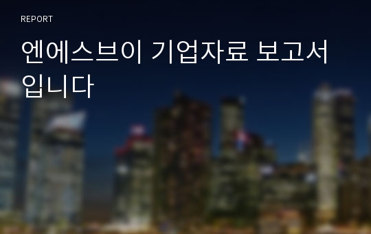 엔에스브이 기업자료 보고서 입니다