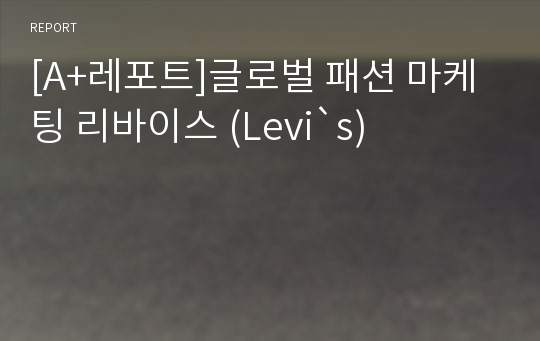 [A+레포트]글로벌 패션 마케팅 리바이스 (Levi`s)