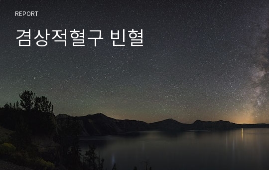 겸상적혈구 빈혈