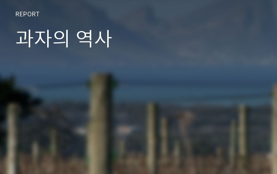 과자의 역사