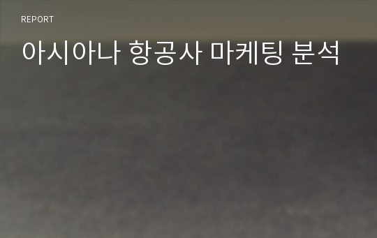 아시아나 항공사 마케팅 분석