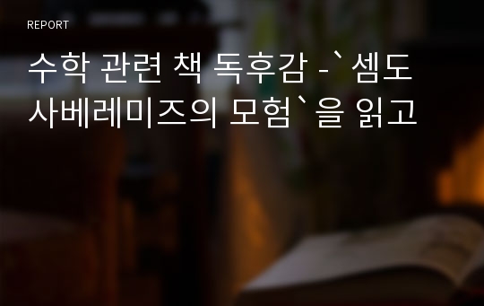 수학 관련 책 독후감 -`셈도사베레미즈의 모험`을 읽고