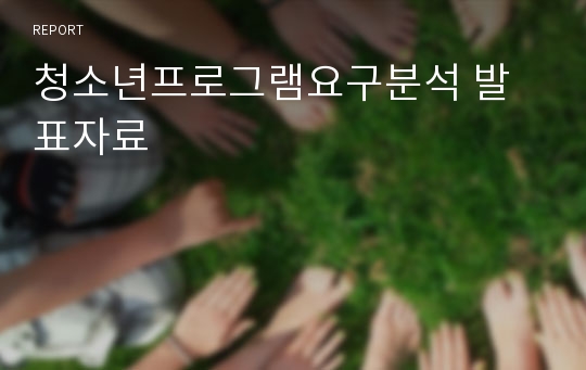 청소년프로그램요구분석 발표자료