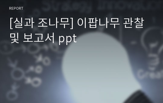 [실과 조나무] 이팝나무 관찰 및 보고서 ppt