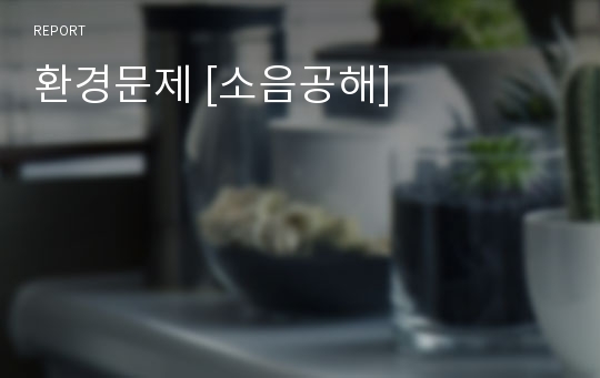 환경문제 [소음공해]