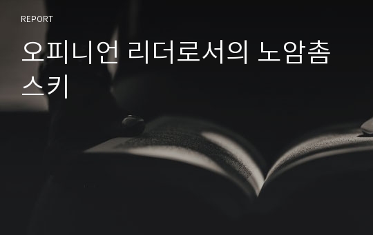 오피니언 리더로서의 노암촘스키