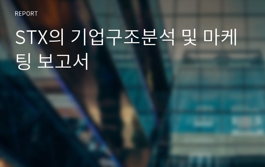 STX의 기업구조분석 및 마케팅 보고서