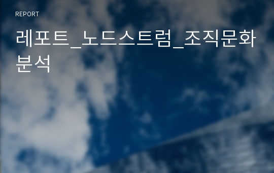 레포트_노드스트럼_조직문화분석