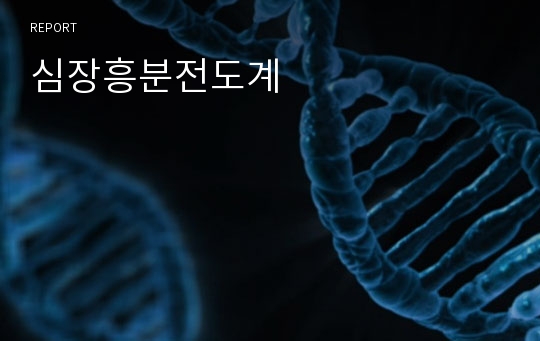 심장흥분전도계