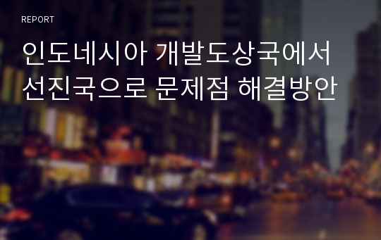 인도네시아 개발도상국에서 선진국으로 문제점 해결방안