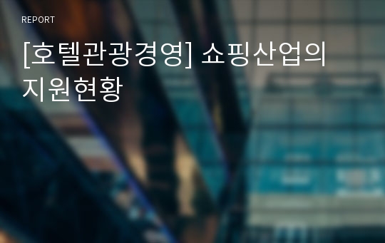 [호텔관광경영] 쇼핑산업의 지원현황