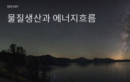 물질생산과 에너지흐름