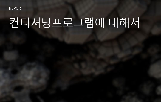 컨디셔닝프로그램에 대해서