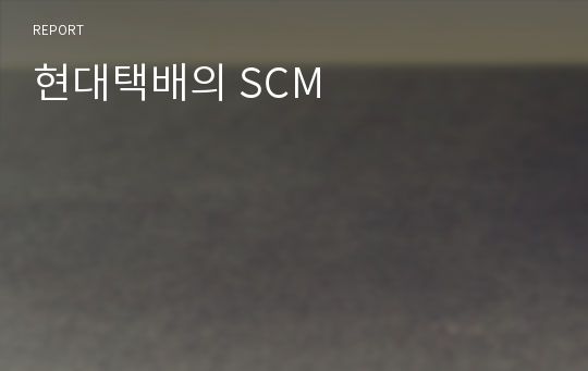 현대택배의 SCM