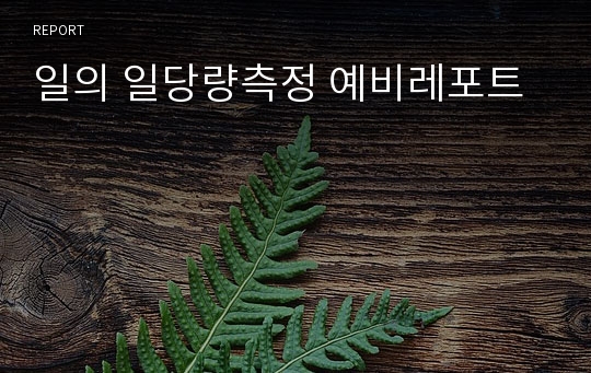 일의 일당량측정 예비레포트