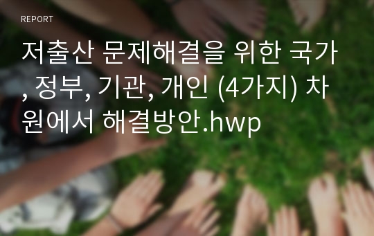 저출산 문제해결을 위한 국가, 정부, 기관, 개인 (4가지) 차원에서 해결방안.hwp