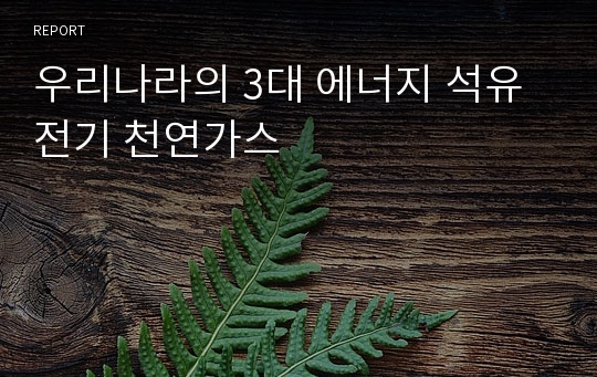 우리나라의 3대 에너지 석유 전기 천연가스