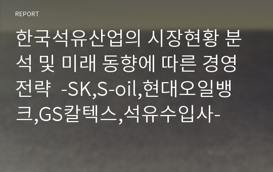 한국석유산업의 시장현황 분석 및 미래 동향에 따른 경영전략  -SK,S-oil,현대오일뱅크,GS칼텍스,석유수입사-