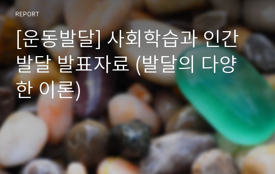 [운동발달] 사회학습과 인간발달 발표자료 (발달의 다양한 이론)