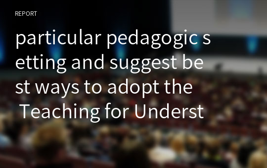 particular pedagogic setting and suggest best ways to adopt the Teaching for Understanding (TfU) Framework in that 