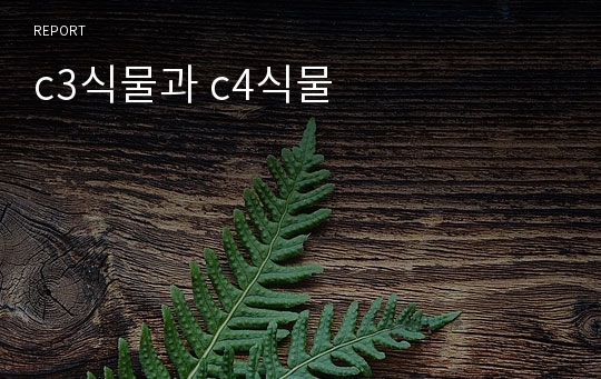 c3식물과 c4식물