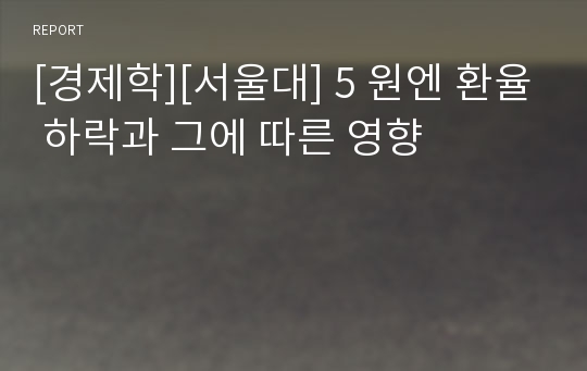 [경제학][서울대] 5 원엔 환율 하락과 그에 따른 영향