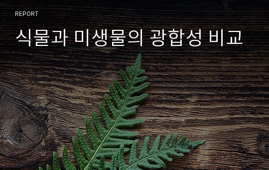 식물과 미생물의 광합성 비교