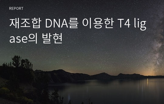 재조합 DNA를 이용한 T4 ligase의 발현