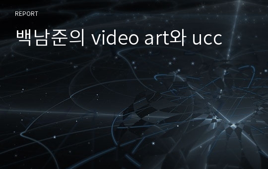 백남준의 video art와 ucc