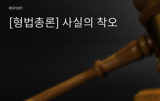 [형법총론] 사실의 착오