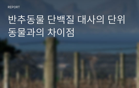 반추동물 단백질 대사의 단위동물과의 차이점