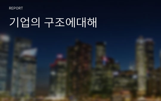 기업의 구조에대해