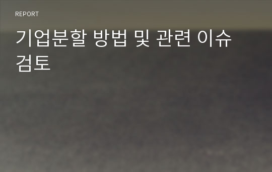 기업분할 방법 및 관련 이슈 검토