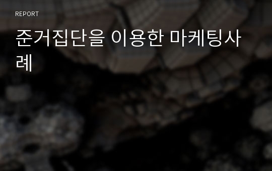 준거집단을 이용한 마케팅사례