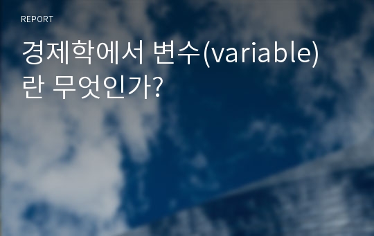 경제학에서 변수(variable)란 무엇인가?