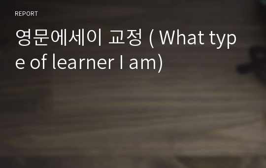 영문에세이 교정 ( What type of learner I am)
